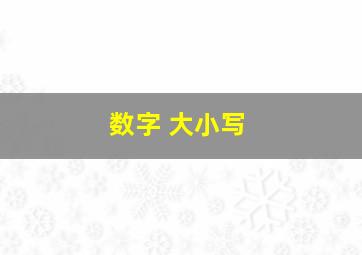 数字 大小写